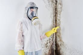 Mold Remediation for Vacation Homes in Browns Lake, WI